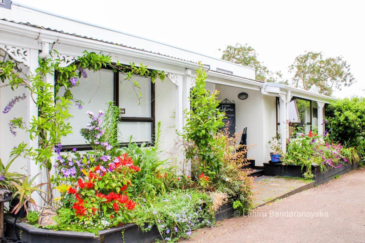 Le Chalet Waiheke Apartments Ostend Eksteriør bilde
